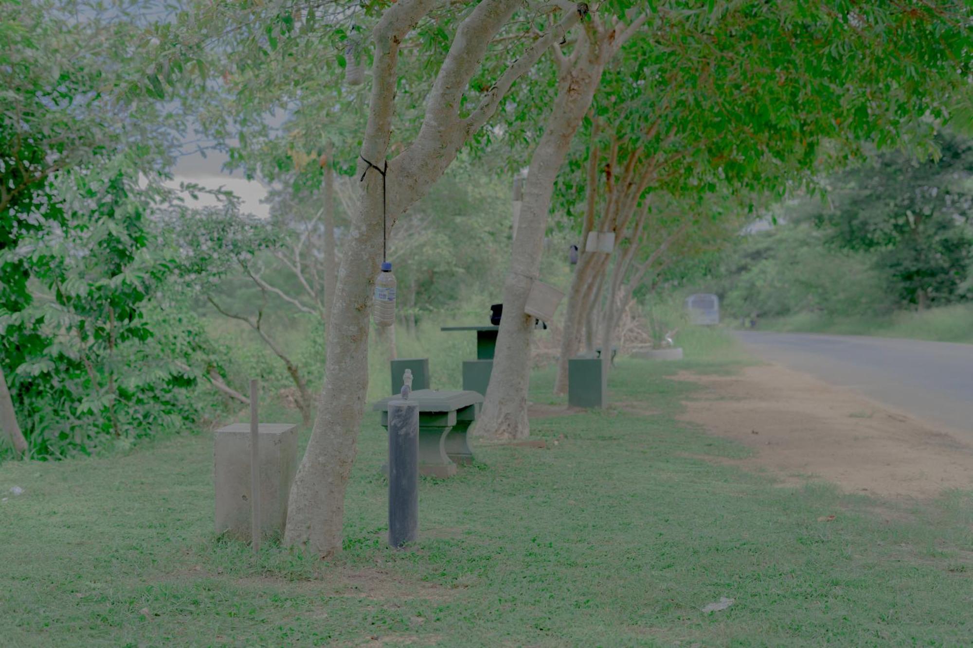 Wilpattu Restaurant & Guest House Pahala Maragahawewa ภายนอก รูปภาพ