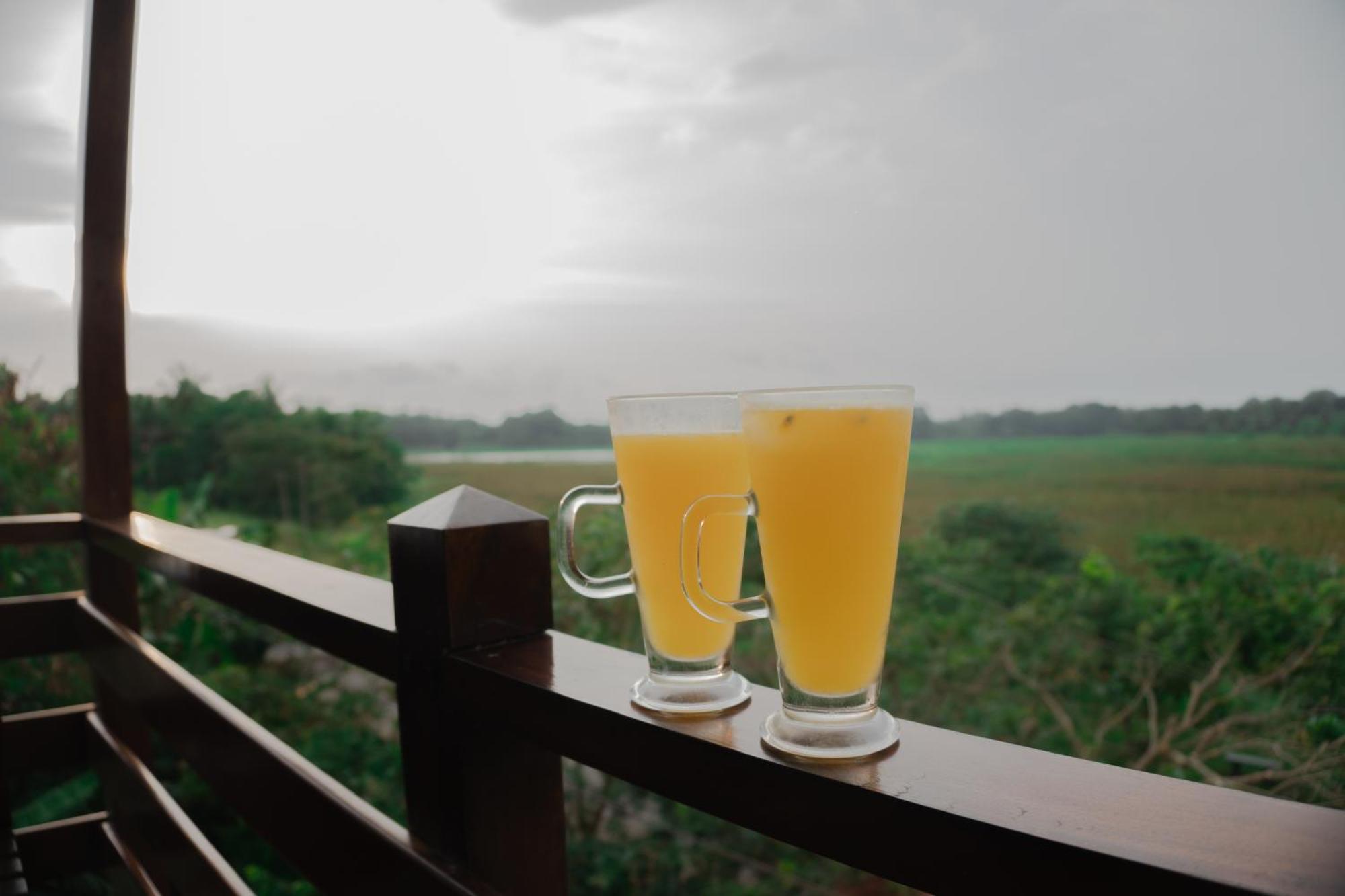 Wilpattu Restaurant & Guest House Pahala Maragahawewa ภายนอก รูปภาพ
